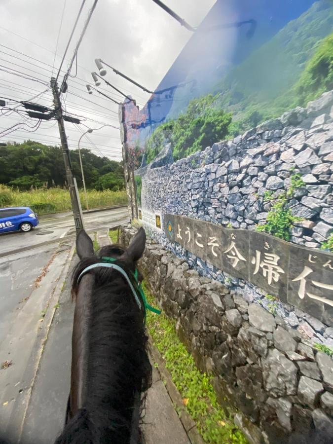 Villa Muumin Farm Nakijin Exterior foto